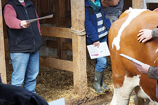 Un groupe de personnes se tient à côté d'une vache et discute.