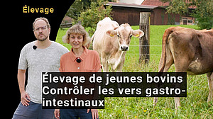 Un homme et une femme avec des vaches en arrière-plan.
