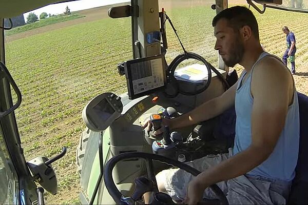 Un homme sur un tracteur dans un champs de betteraves bio