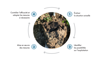 Graphique représentant de la terre sur une bêche. Tout autour, des chiffres de 1 à 4 avec les inscriptions suivantes. 1. évaluer la situation actuelle. 2. identifier les possibilités sur l'exploitation. 3. mise en œuvre des mesures. 4. contrôler l'effet et adapter les mesures si nécessaire.