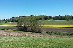 De haut en bas: sol fraîchement labouré, haie et ruisseau, sol nu, colza en fleur, prairie.