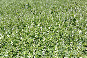 [Translate to Französisch:] 