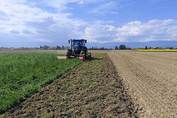 tracteur au travail dans les champs, travail du sol superficiel