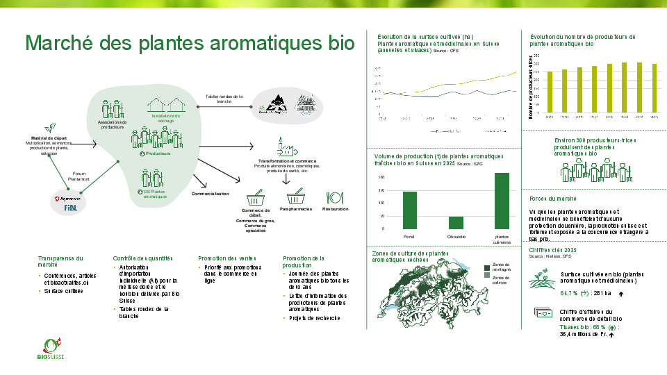 Le marché des plantes aromatiques bio en un coup d’œil
