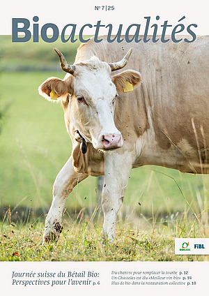 Page de couverture du Bioactualités 7|25: Une vache avec des cornes dans un pré. Elle entre dans le champ par la droite.