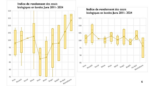 Valeurs indicielles du rendement et de la teneur en protéines des variétés de blé de mouture répertoriées dans les essais en bandes du FiBL de 2011 à 2024 dans le Jura.