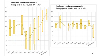 Valeurs indicielles du rendement et de la teneur en protéines des variétés de blé de mouture répertoriées dans les essais en bandes du FiBL de 2011 à 2024 dans le Jura.