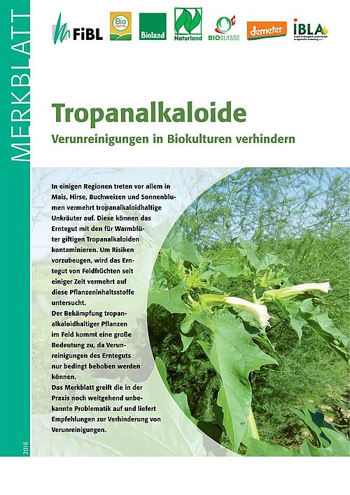 Titelseite des Merkblattes «Tropanalkaloide»