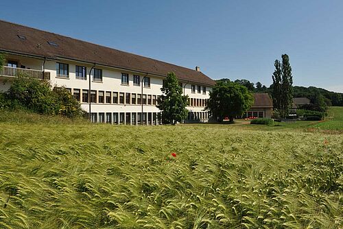 Au premier plan, un beau champ de céréales. A l'arrière-plan, un bâtiment avec des salles de classe.