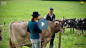 Femme avec microphone à côté d'une vache brune et d'un homme.