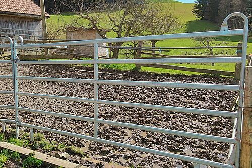 Parc avec une structure métallique et un sol marron et boueux.