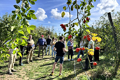 cynorhodon au premier plan, groupe en discussion au second plan