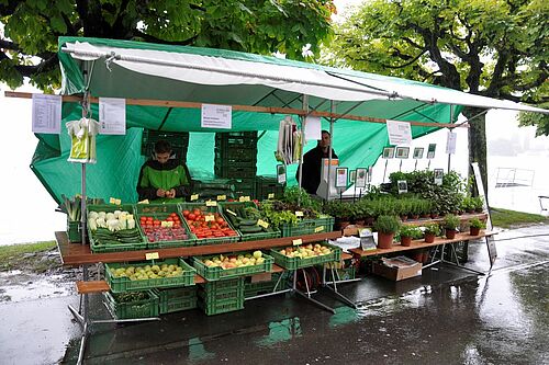 une étale du marché