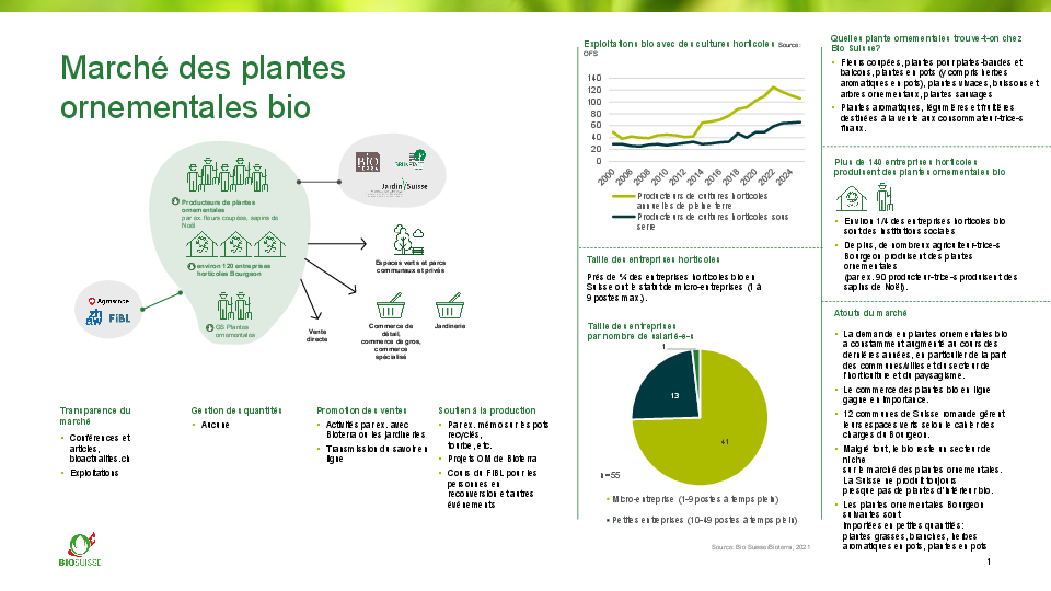 Le marché des plantes ornementales bio en un coup d’œil