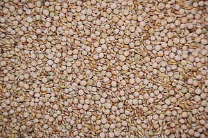 [Translate to Französisch:] 