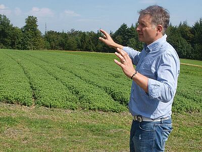 Lukas Studer parle devant son champ de menthe à feuilles rondes