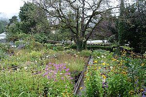 [Translate to Französisch:] Des plates-bandes colorées avec différentes plantes vivaces au premier plan, un chemin mène à un arbre à l'arrière-plan. 