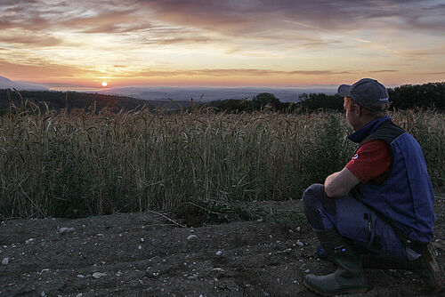 Une personne accroupie devant un champ au coucher du soleil