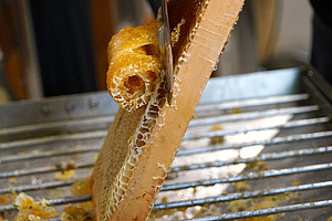 [Translate to Französisch:] 