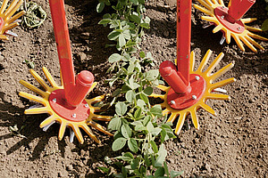 [Translate to Französisch:] 