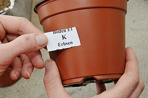 Une main colle une étiquette sur un pot. 
