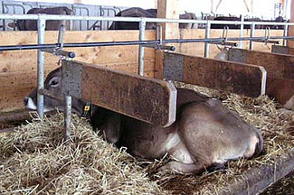 Logettes avec séparations latérales flexibles.