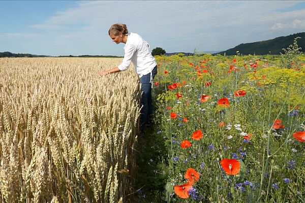 femme entre une bande fleurie et un champ de blé
