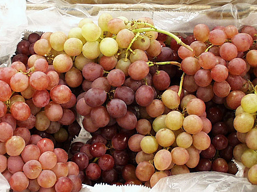 Grappes de raison de différentes couleur