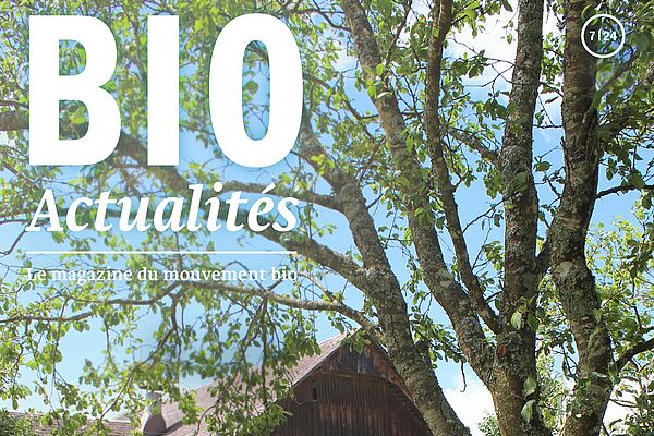 Le secret indicible pour maîtriser news en seulement 3 jours news - Le défi des six chiffres