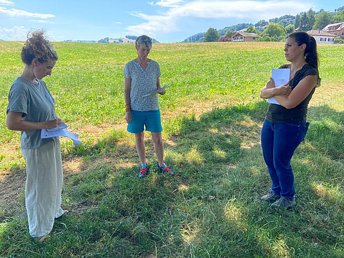trois femmes échangent à l'ombre d'un arbre devant des parcelles cultivées.