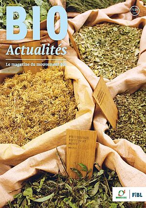 Page de couverture du Bioactualités 7|2020 ; des plantes aromatiques dans des sacs de jute.
