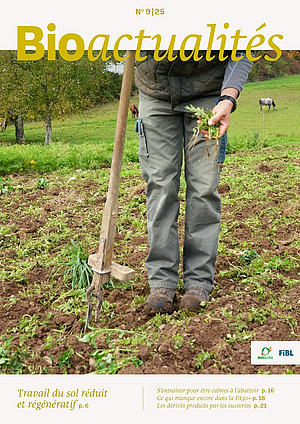 Page de couverture du Bioactualités 9|25: Une personne se tient dans le champ avec un arrache-rumex.