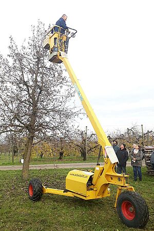 Un homme sur la plate-forme d'une échelle hydraulique à côté d'un arbre fruitier autes tiges