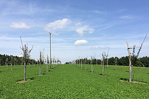 [Translate to Französisch:] 