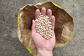 Une main avec des légumineuses au-dessus d'un sac