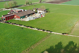 Vue aérienne d'une ferme de pâturage à Champion. 