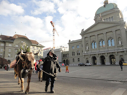 Aufmarsch im Machtzentrum: Petitionsträgerin Sibylle vor dem Bundeshaus in Bern