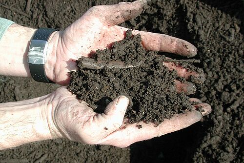 Deux mains présentant du compost bien mature