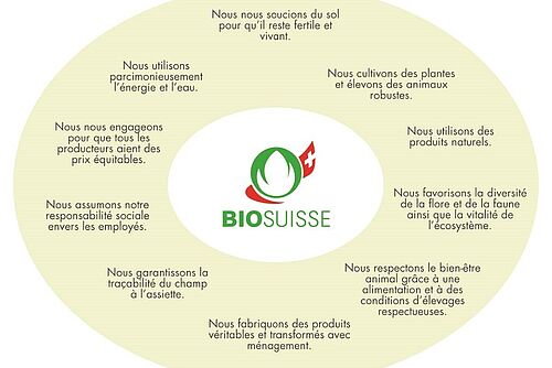 Les Principes Fondamentaux des agriculteurs- trices et horticulteurs-trices Bourgeon. Illustration: Bio Suisse.