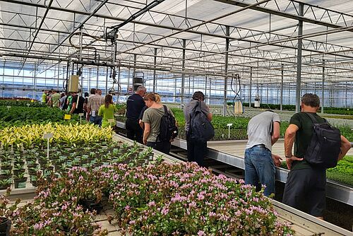 Plusieurs personnes se tiennent entre des tables de plantes et examinent des plantes en pot.