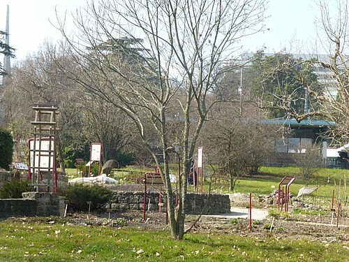 Vues du Jardin botanique de Genève : une grande serre, des massifs floraux, des ruchers, des chemins et des grands arbres. 



L'avant-dernière photo montre la plaque inaugurale de la reconversion au bio du Jardin botanique. Sur la dernière photo, 