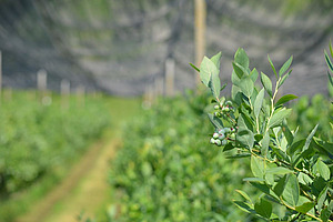 [Translate to Französisch:] 