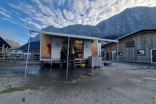 Véhicule mobile pour l'abattage de volailles à la ferme.