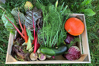 Une caisse avec des légumes.