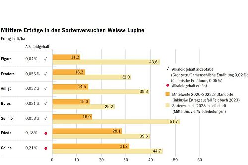 Eine Grafik zu Erträgen von Lupinen. 