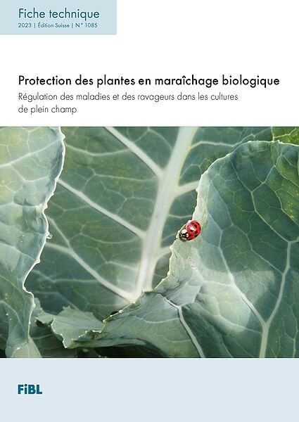couverture phytosanitaire, couverture d'hivernage pour plantes