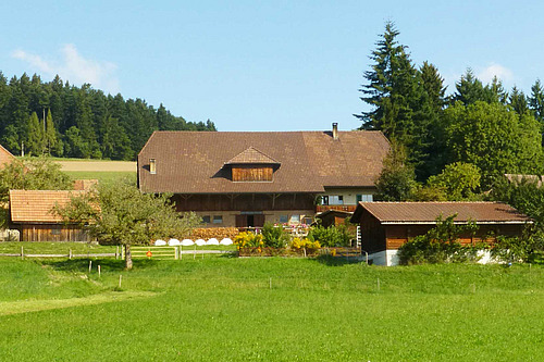 Devant, un prè; à l'arrière, une belle ferme bernoise, avec différents bâtiments