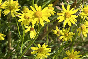 [Translate to Französisch:] 