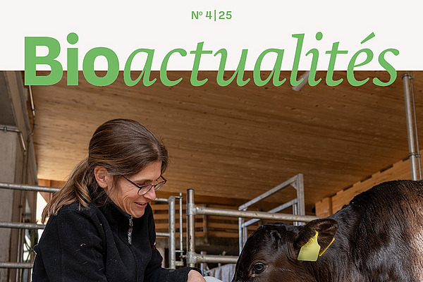 Page de couverture du Bioactualités 4|25: Une femme donne du thé à la camomille à un veau.