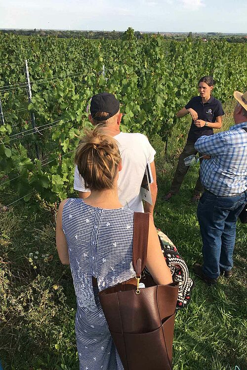 Un groupe de personnes devant une vigne.